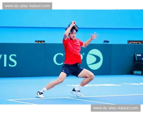 伤病戴维斯杯:赛场之外的较量与重生