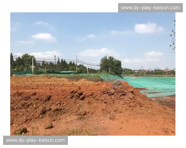 热浪侵袭与意志较量：当“潘塔纳尔金鱼”遇上“南里奥格兰德不朽者”